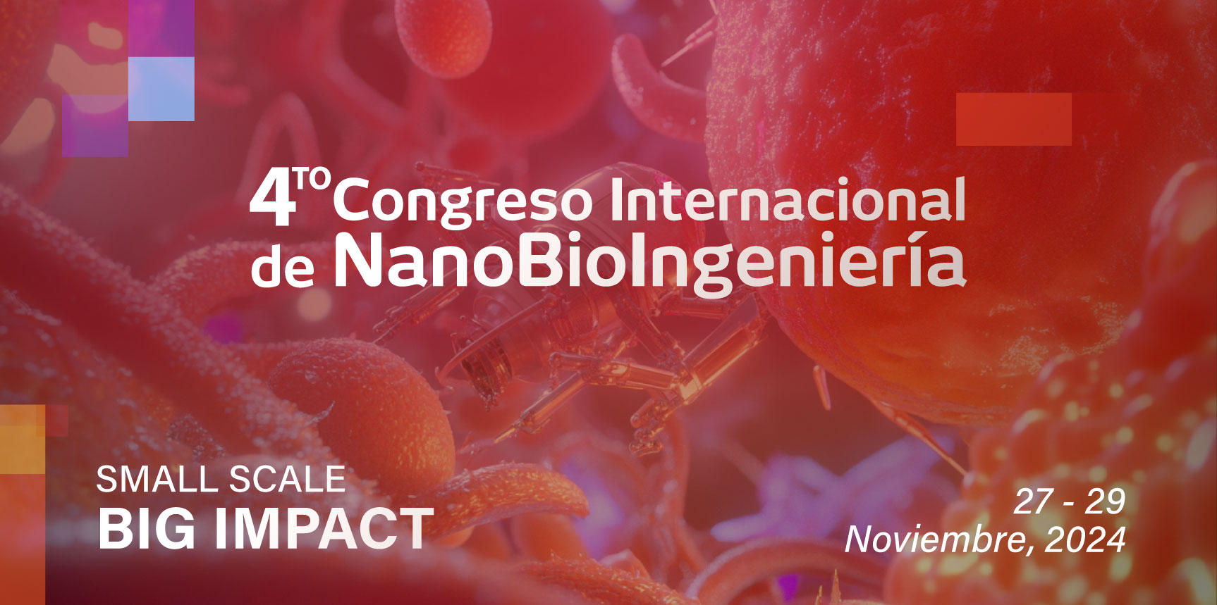 4to. Congreso Internacional de Nano Bioingeniera